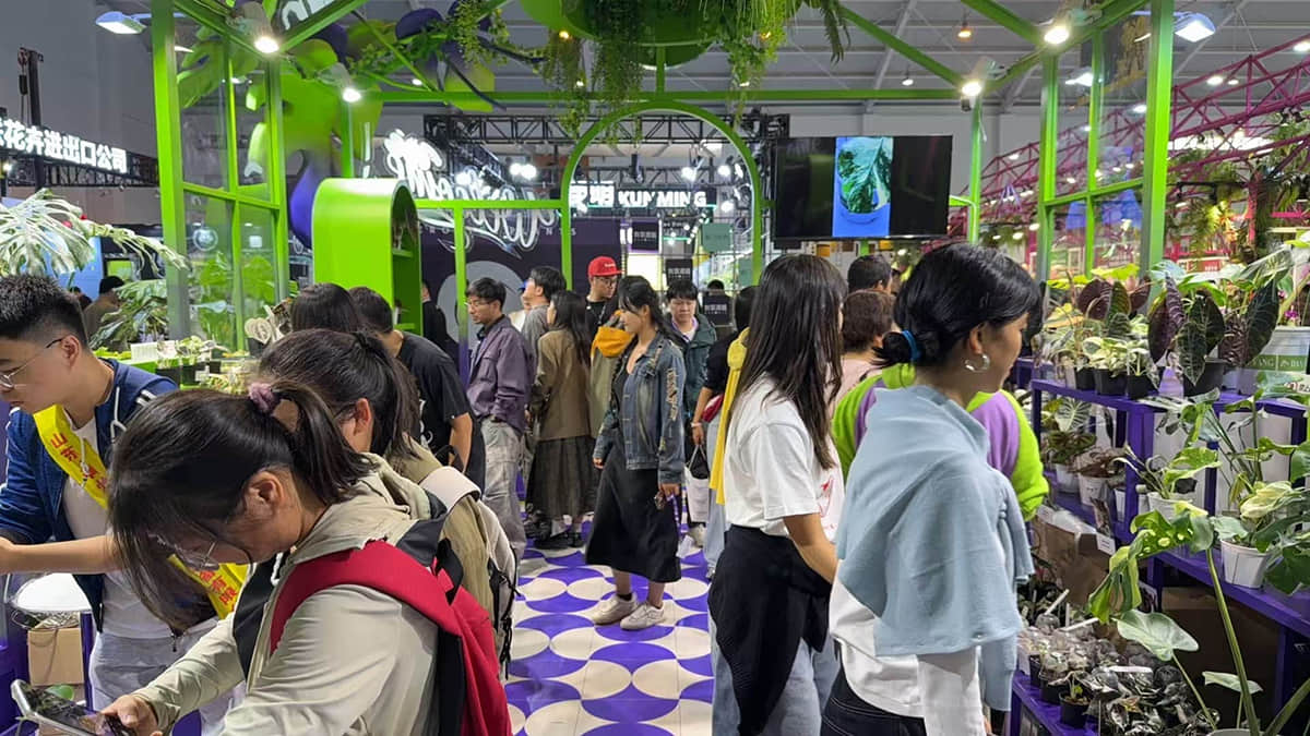 Be A Part of IFEX, AITPE  — The Biggest Flower Expo in China This Year