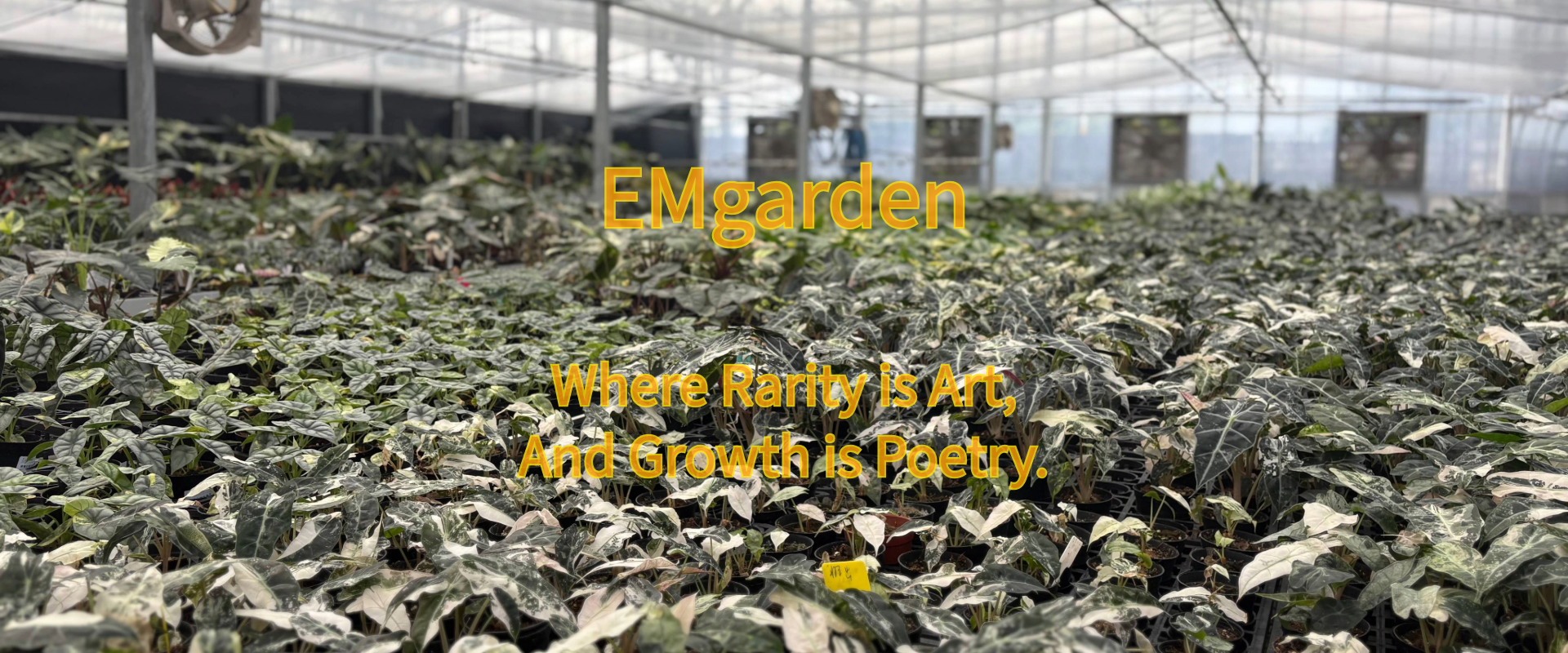 EMgarden